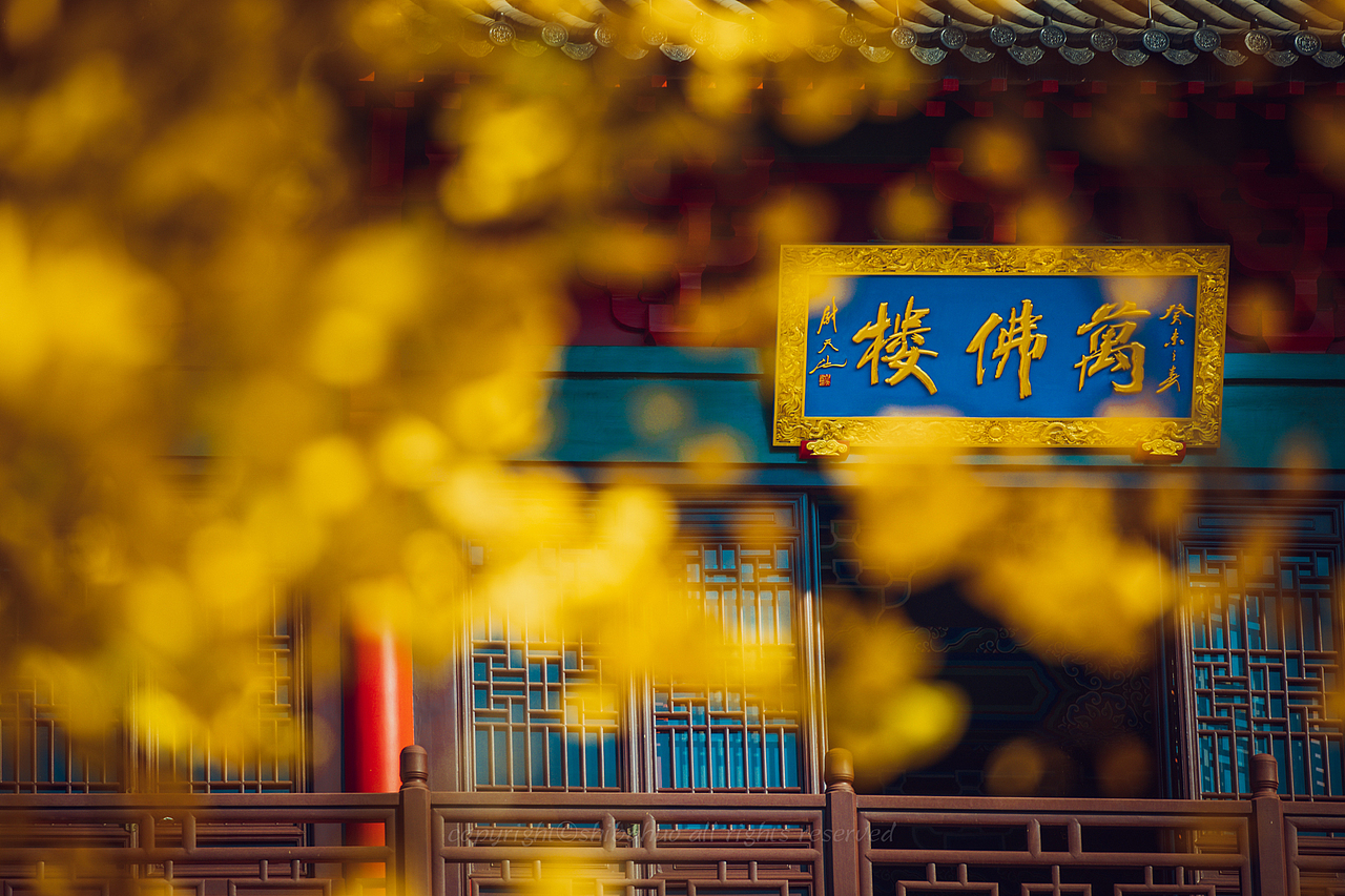 金陵秋色（图ZMjgwNjY3ODM2） - 风光摄影 - 站酷设计师十把火原创素材 - 站酷ZCOOL