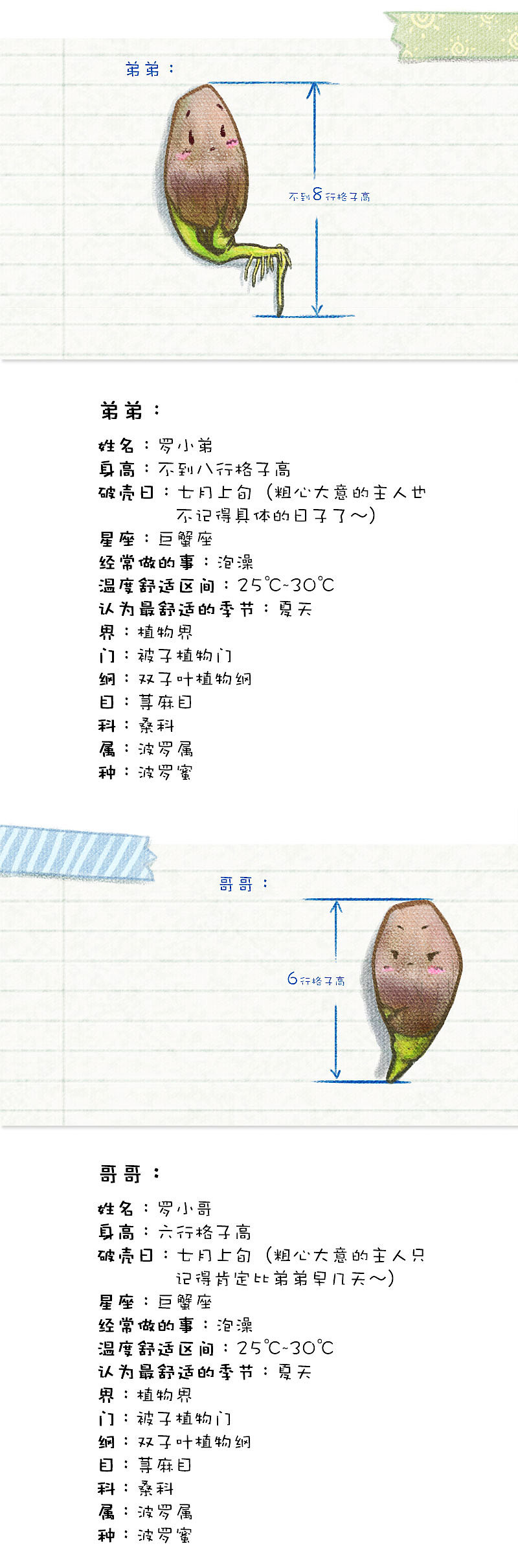 小不坏的波罗蜜-嗯...（图ZMTc2MTMyNDgw） - 中/长篇漫画 - 站酷设计师小尘土不坏原创素材 - 站酷ZCOOL