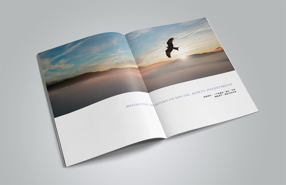 金融類畫冊設(shè)計（圖ZMTQzODI3ODY0） - 書籍/畫冊 - 站酷設(shè)計師By背影原創(chuàng)素材 - 站酷ZCOOL