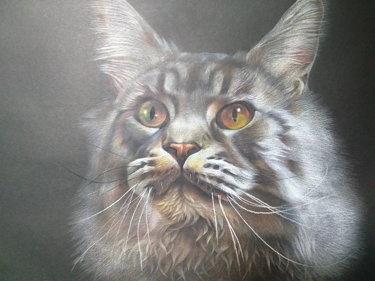 缅因猫,未完,卡纸太粗,不想再深入了,偷个懒,欢迎指教,广交画友