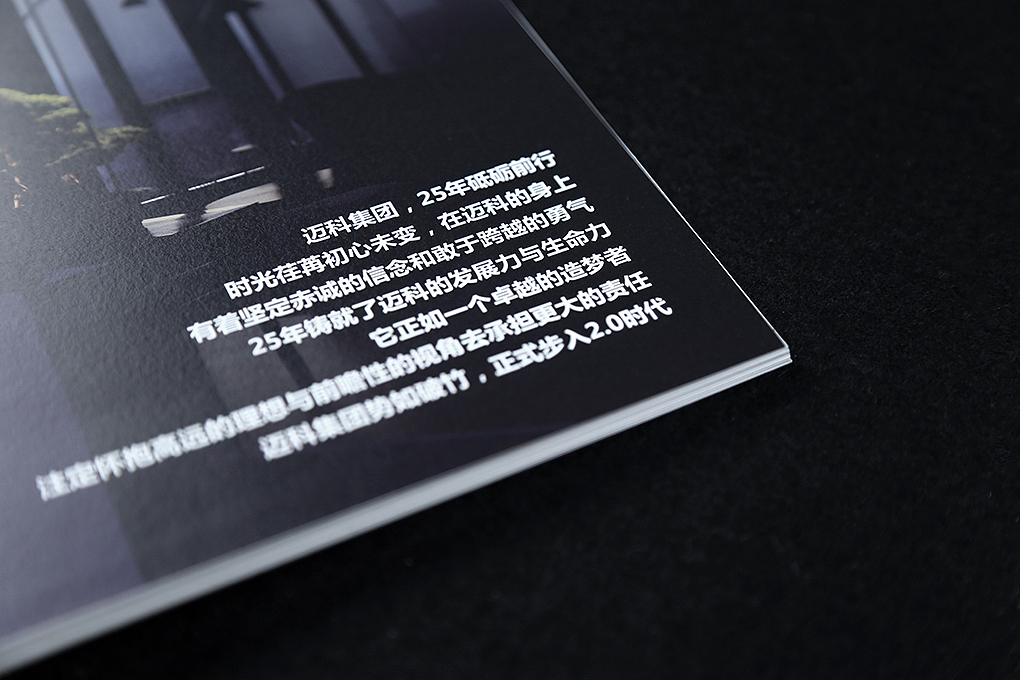 蜜蜂原创 | 迈科控股画册设计