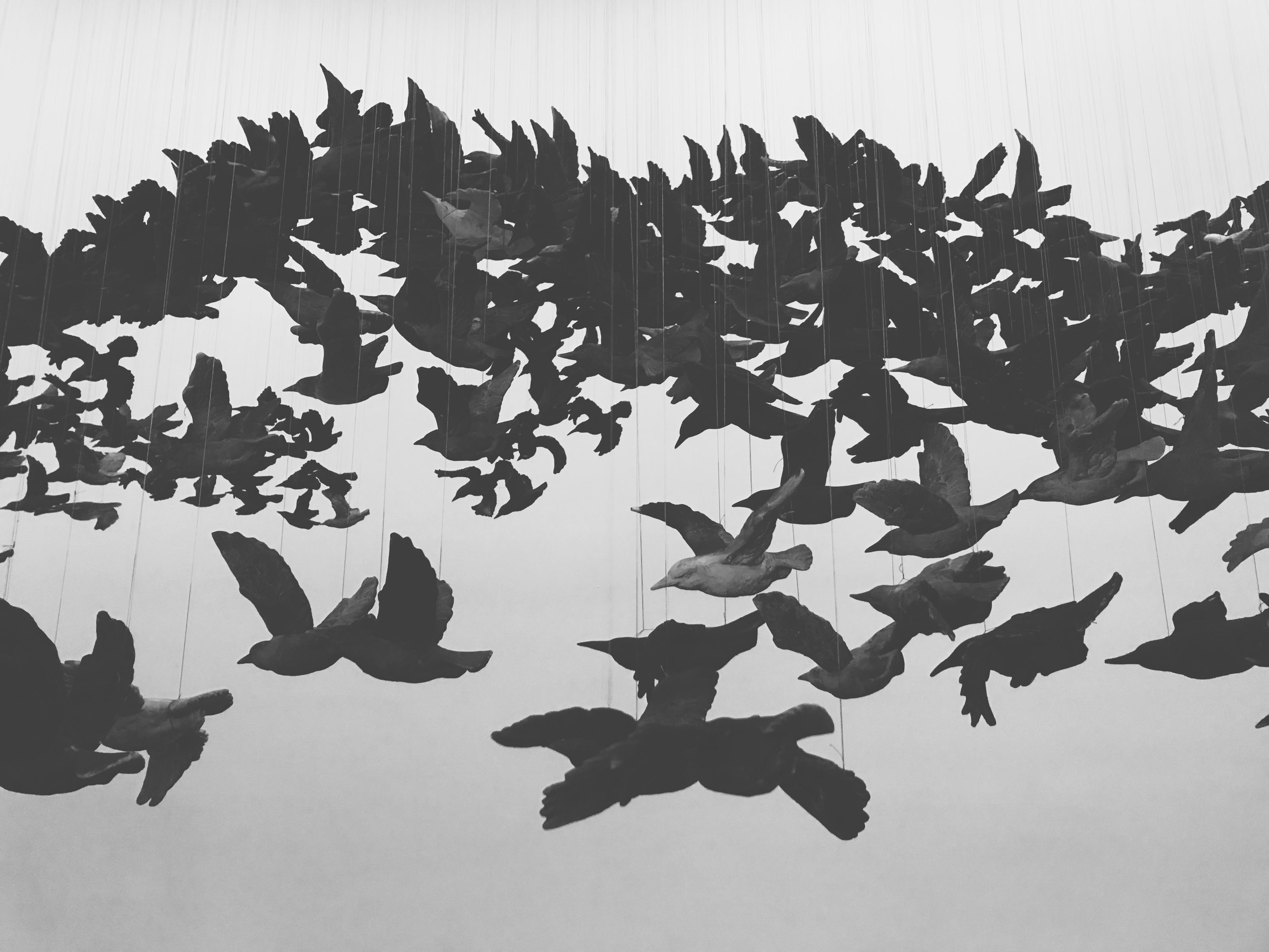 秋啾啾啾林的个人主页（封面预览） - 主页封面设置 - 站酷设计师秋啾啾啾林原创素材 - 站酷ZCOOL