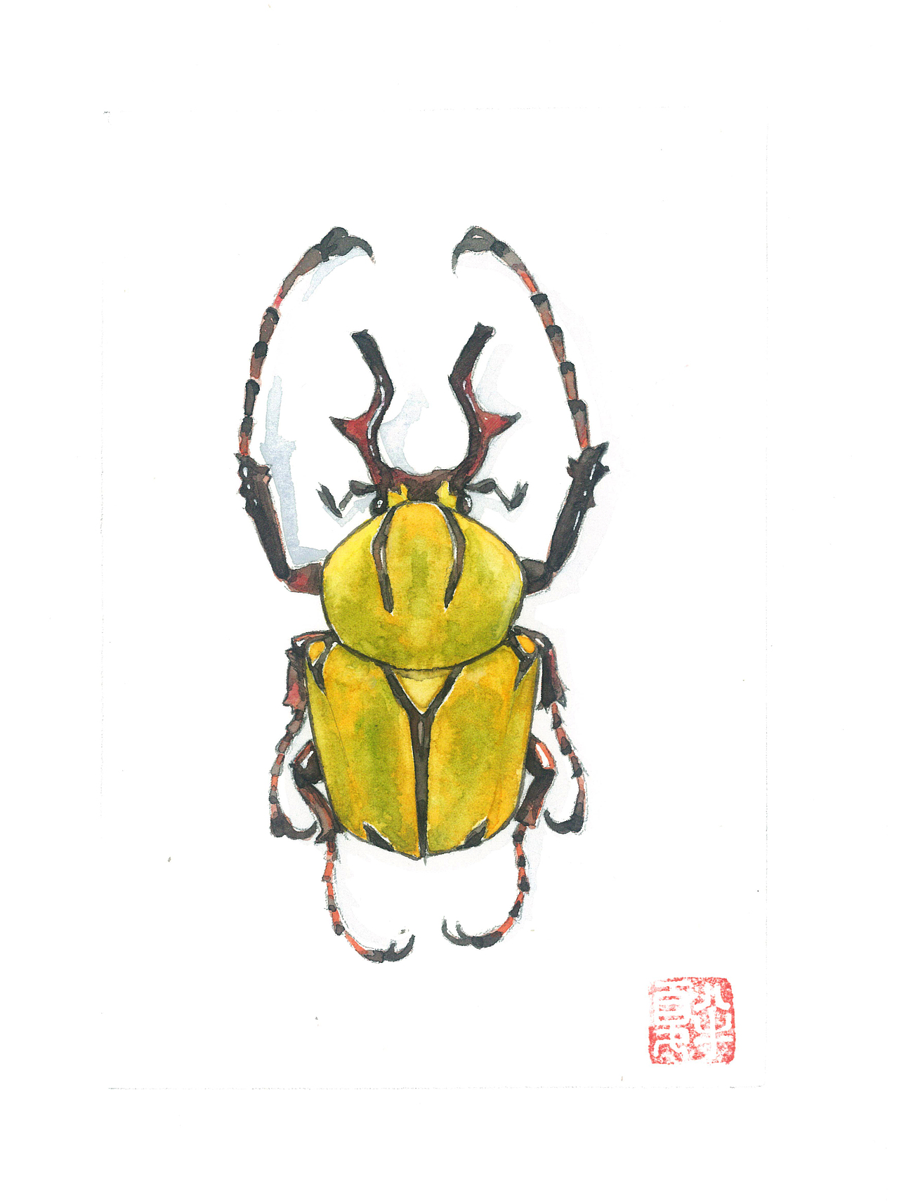 几只金龟子（图ZNjc5MDU4ODQ=） - 新锐潮流插画 - 站酷设计师tw3000原创素材 - 站酷ZCOOL