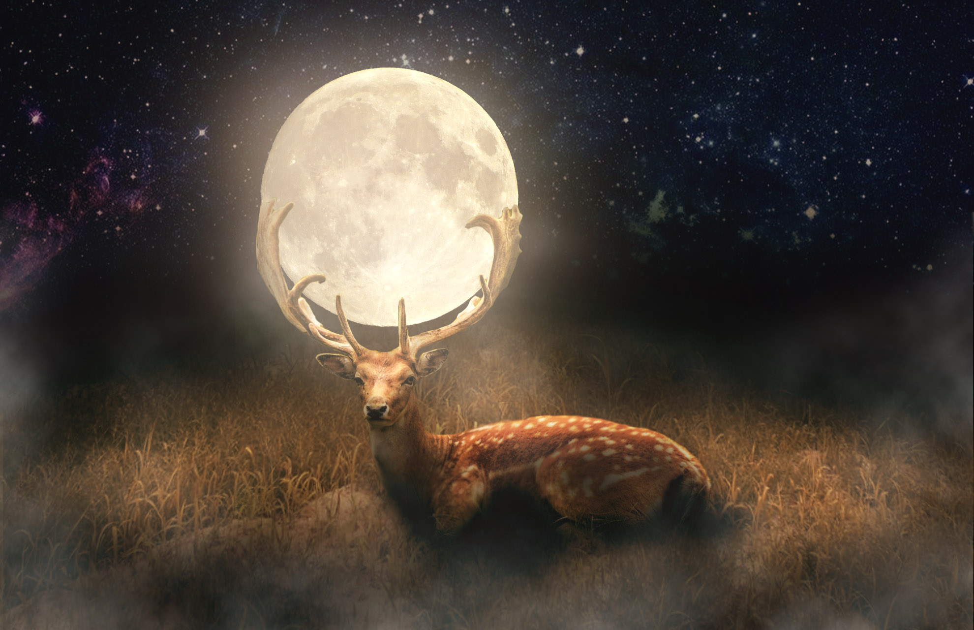 大大大的陳的個人主頁（封面預(yù)覽） - 主頁封面設(shè)置 - 站酷設(shè)計師大大大的陳原創(chuàng)素材 - 站酷ZCOOL