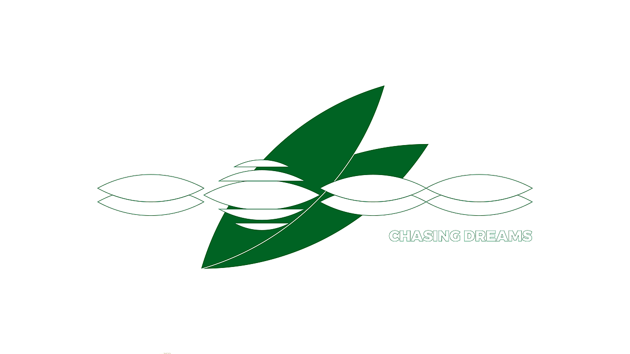 乐信端午礼盒设计方案