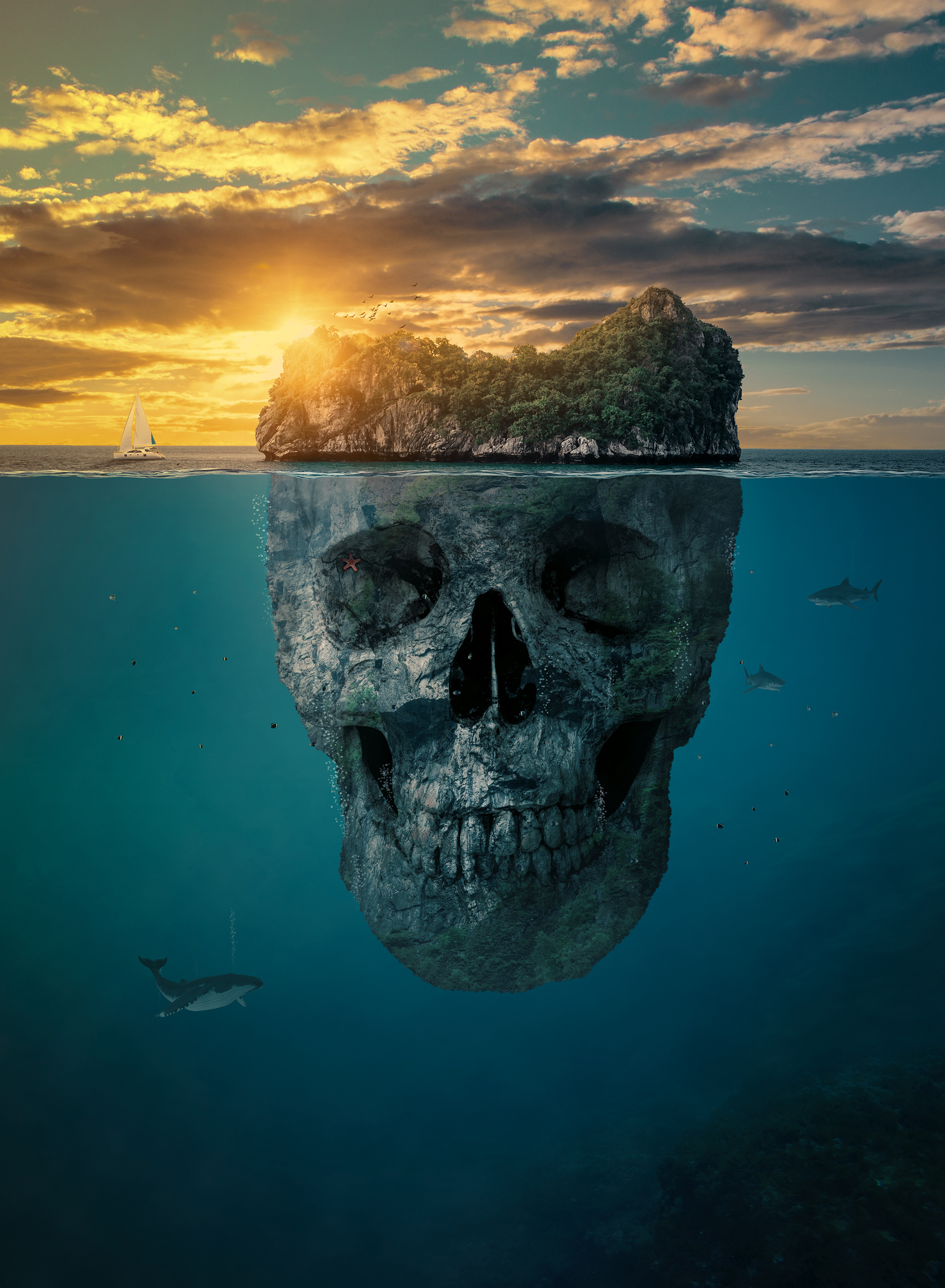 山与骷髅结合                  收藏 1