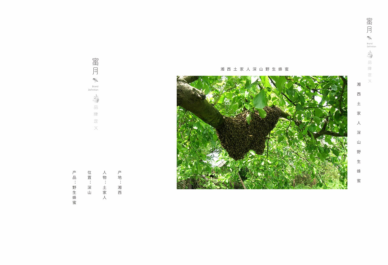 蜜月品牌孵化流程书籍（图ZODMxNzQyNjA=） - 品牌 - 站酷设计师吴朝召原创素材 - 站酷ZCOOL