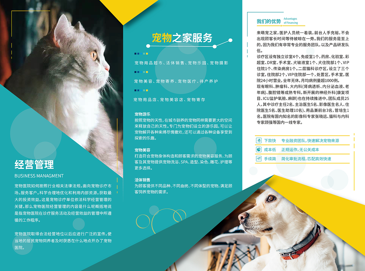 三折页（图ZMjUzMTUxMTYw） - 宣传物料 - 站酷设计师磕的都是真的原创素材 - 站酷ZCOOL