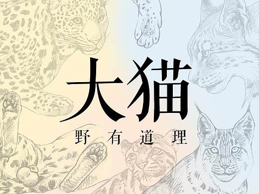 大猫-速写练习