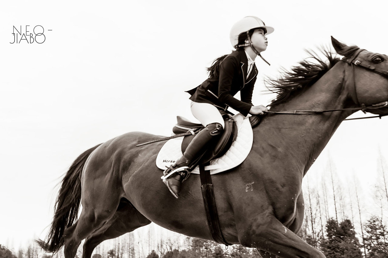 马术运动宣传拍摄