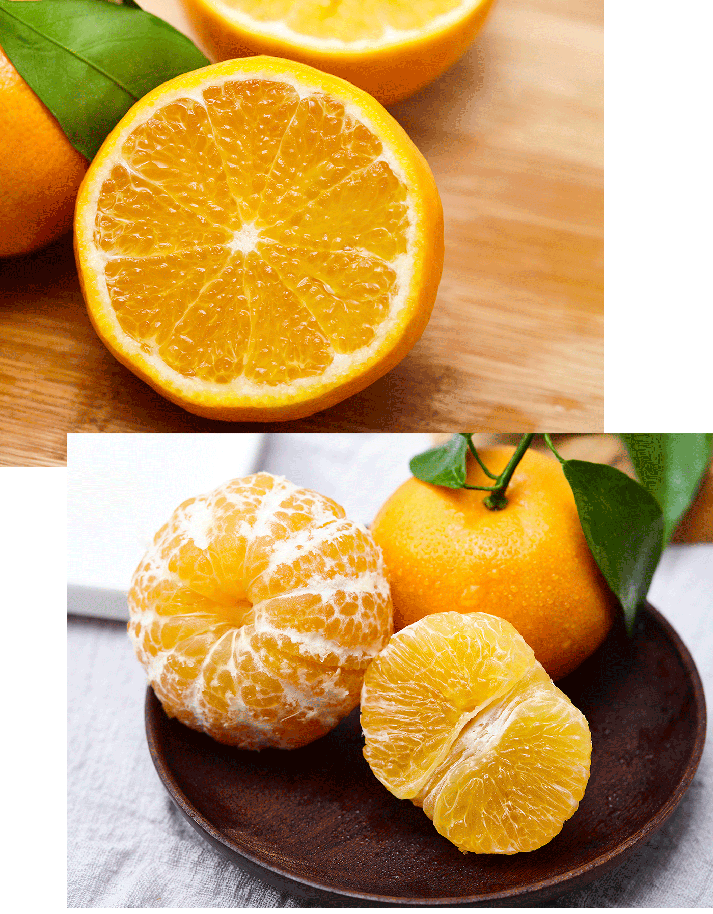 集各种优点于一身的水果——沃柑