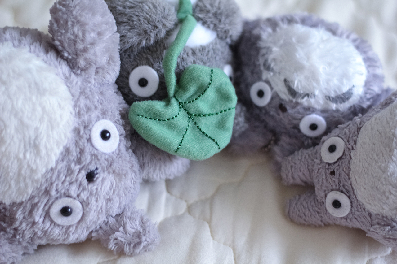 给我来打小龙猫