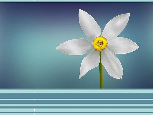 创意设计海报-一花一世界