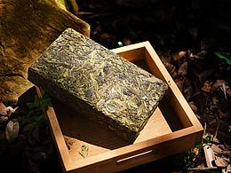 生普洱户外拍摄