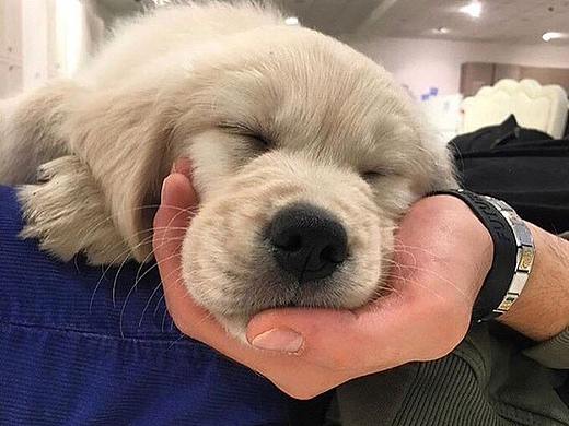 我們的農(nóng)場(chǎng)（搜狗皮膚）（個(gè)人主頁(yè)-ZMzQ5MTEyMDg=） - 主題/皮膚 - 站酷設(shè)計(jì)師蘿北21原創(chuàng)素材 - 站酷ZCOOL