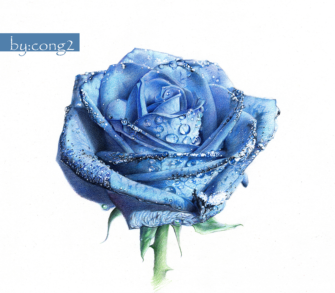 纸上彩铅--《蓝色妖姬》 七夕