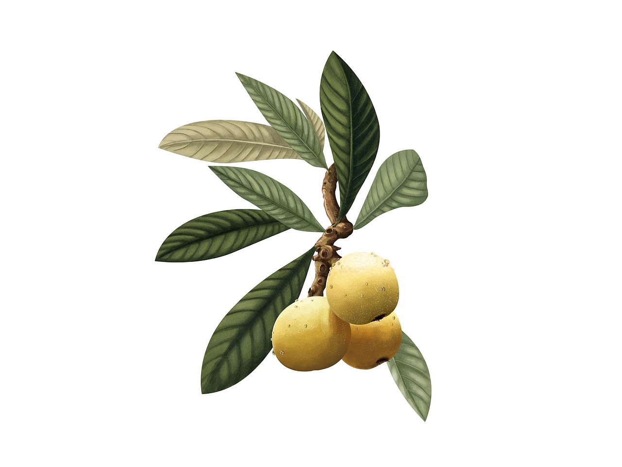 包装设计案例合集