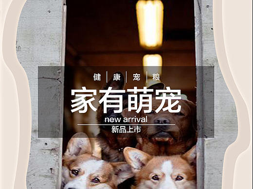 狗粮首页（个人主页-ZNDU1NzA0OTY=） - 电商 - 站酷设计师不会跳水的猫原创素材 - 站酷ZCOOL