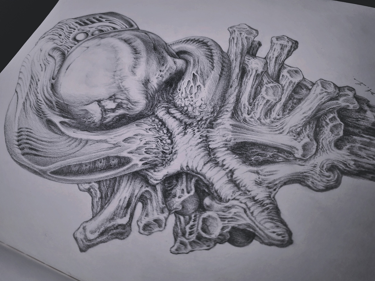 这两年的一些作品