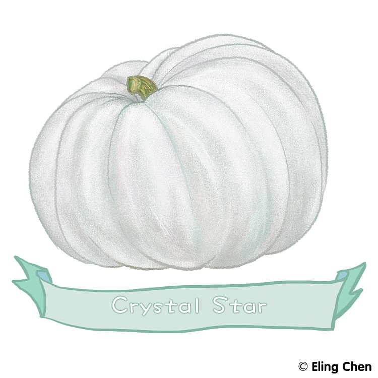 -南瓜家族系列-（图ZMTY0NDkyNjcy） - 创作习作 - 站酷设计师ElingChen原创素材 - 站酷ZCOOL