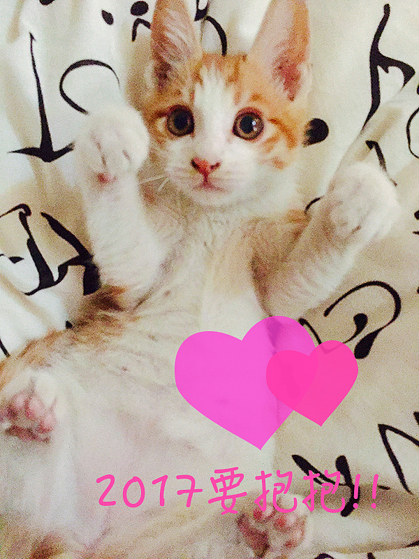2017要有爱哦