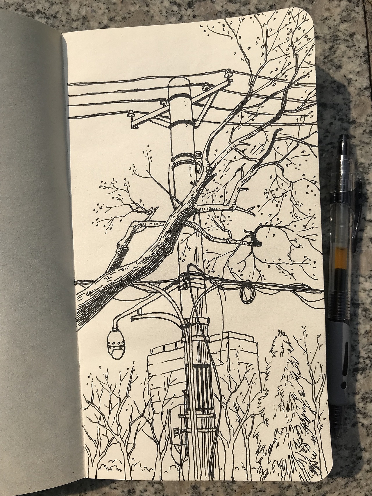 最近的一些速写