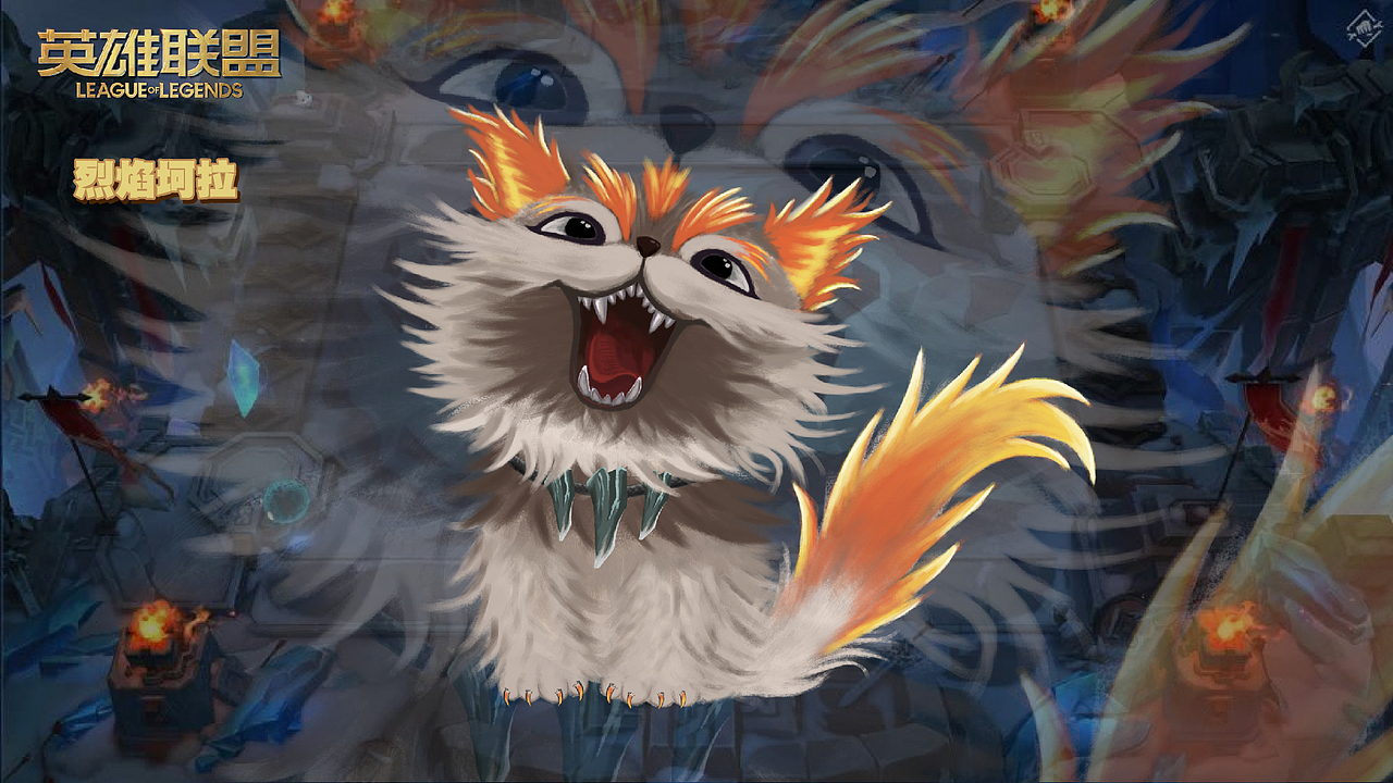 小小英雄--坷拉 一只凶萌的小猫咪