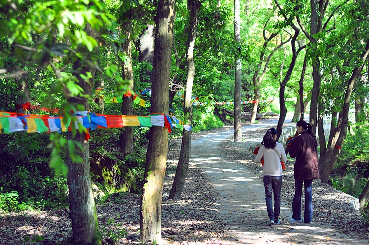 本朴中国·高悬经幡于净土庐山 · 祈福回向至四川雅安 · 众生安乐 · 天下康宁（图ZOTMyMjc5Mg==） - 人文/纪实摄影 - 站酷设计师素禾kiki原创素材 - 站酷ZCOOL