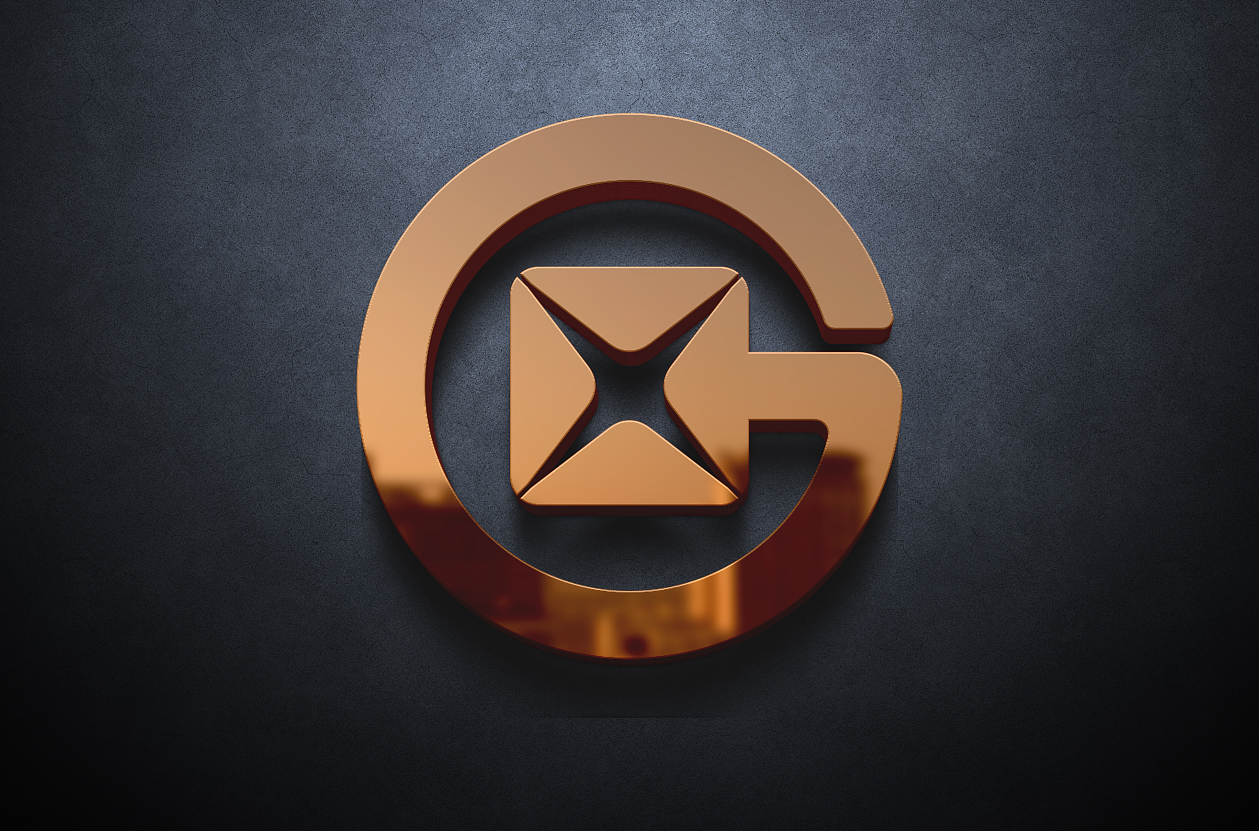 金融行业-鑫星担保LOGO设计