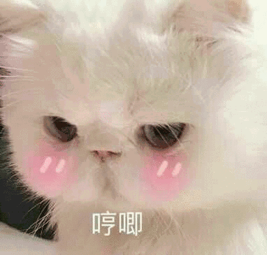 未知谓我的个人主页（背景预览） - 主页背景设置 - 站酷设计师未知谓我原创素材 - 站酷ZCOOL