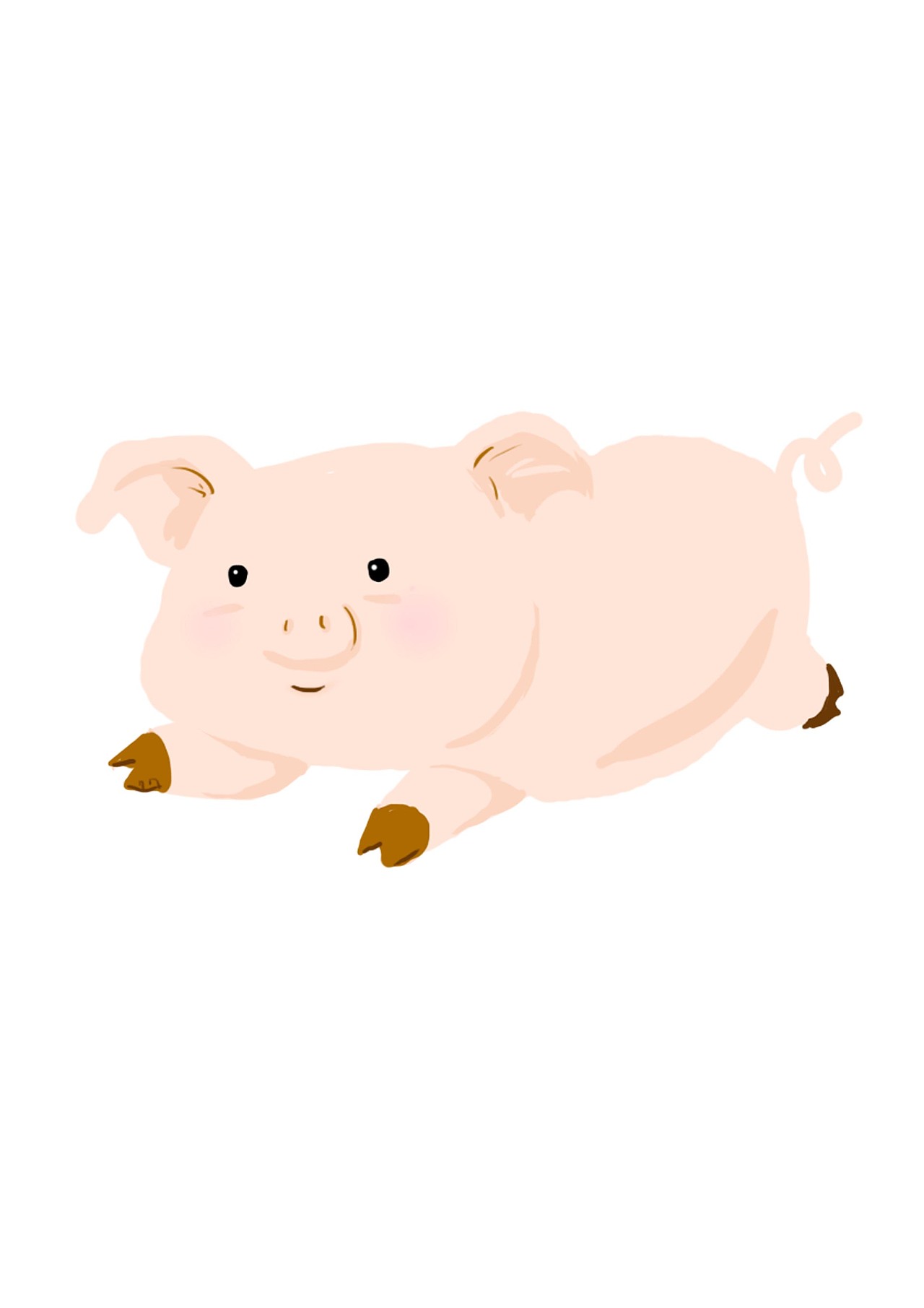猪猪|插画|创作习作|壮壮设计工作室_原创作品-站酷zcool