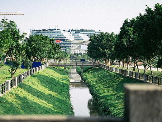 住在春天 靠近海洋