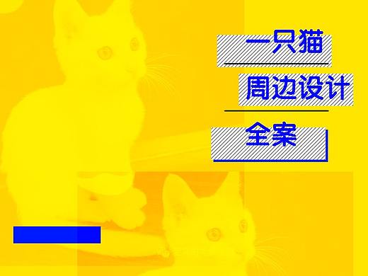 一只猫IP周边运作记录全/Tencent北分image猫店长