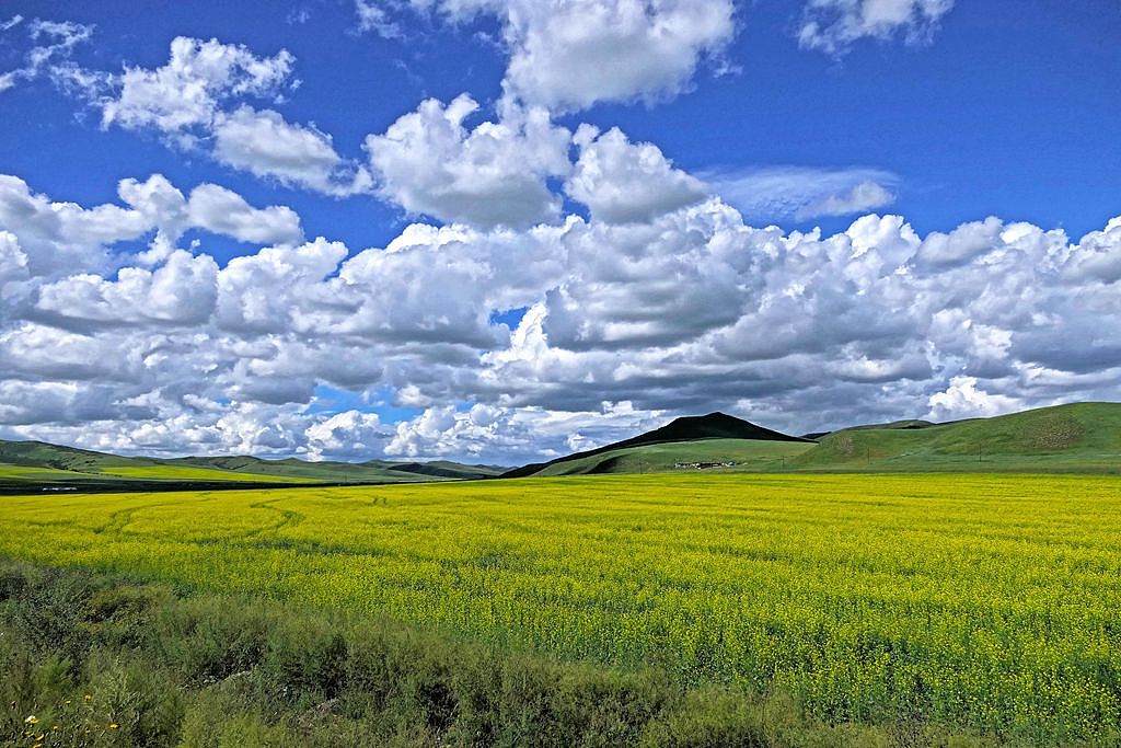 【你是我的草原】