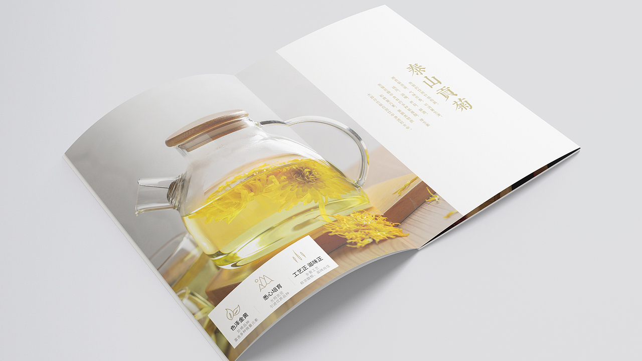 LittleSu-2018-2019作品集（图ZMTk3OTc5MjI0） - 品牌 - 站酷设计师LittleSu原创素材 - 站酷ZCOOL