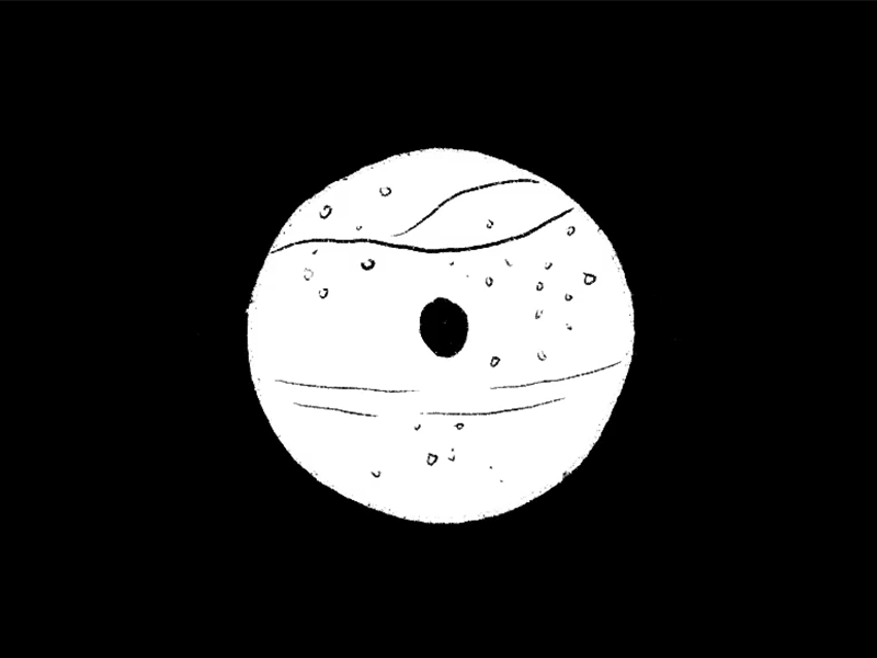 疫情上半年都干了些啥呀我