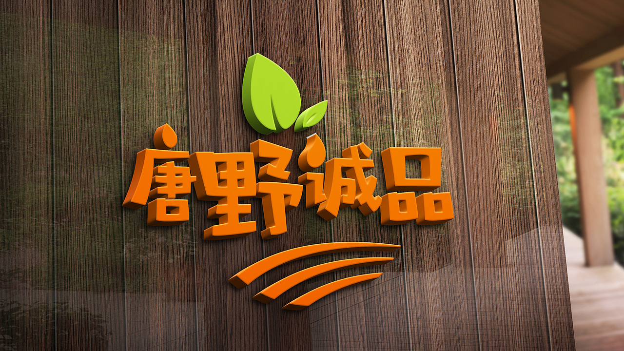 【唐野诚品】-标志设计（图ZNjMxOTg1ODA=） - Logo - 站酷设计师高品牌设计原创素材 - 站酷ZCOOL