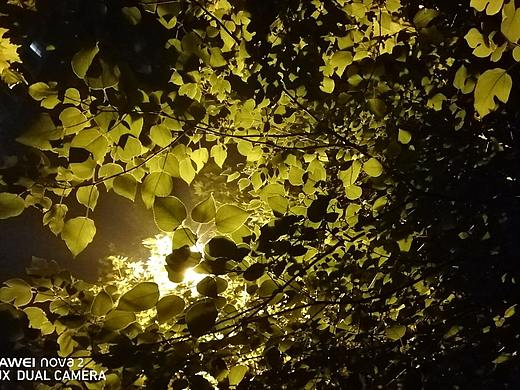 易拉宝（个人主页-ZMjU4ODg4MjQ=） - 宣传物料 - 站酷设计师陆可小小原创素材 - 站酷ZCOOL