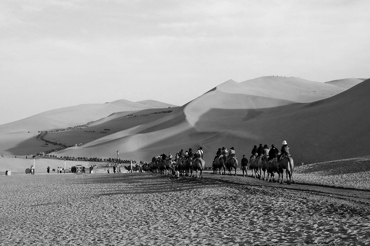 青海、甘肃七日行