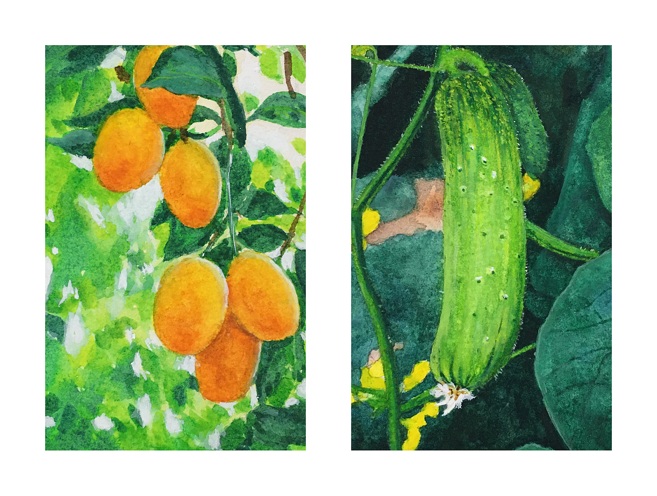 水彩练习（图ZMjE0MTA3NDYw） - 创作习作 - 站酷设计师fonomi原创素材 - 站酷ZCOOL