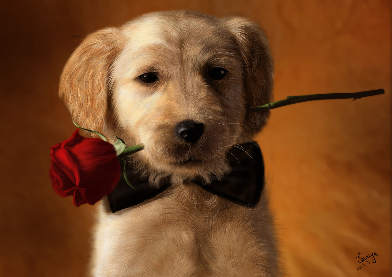 DOG（圖ZMTMxOTgyMjA0） - 創(chuàng)作習(xí)作 - 站酷設(shè)計(jì)師Carnys原創(chuàng)素材 - 站酷ZCOOL