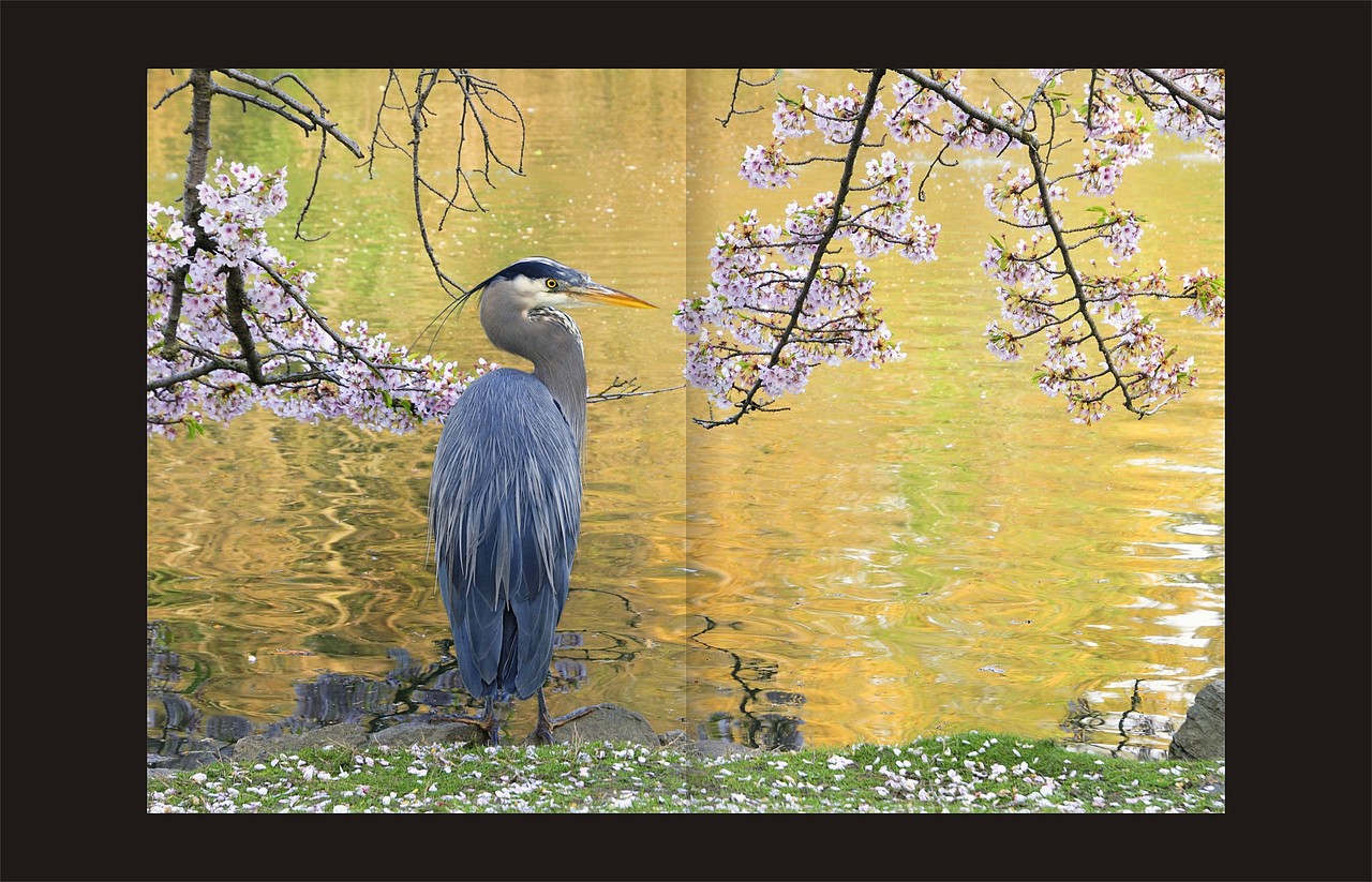 20140522湖墅楼书