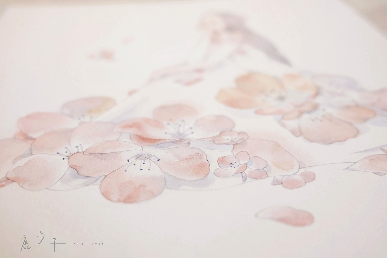 2018的部分作品合集