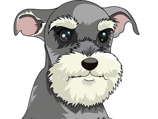 狗狗