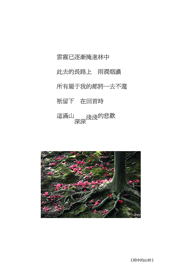 轻简设计诗---席慕容诗作摘选