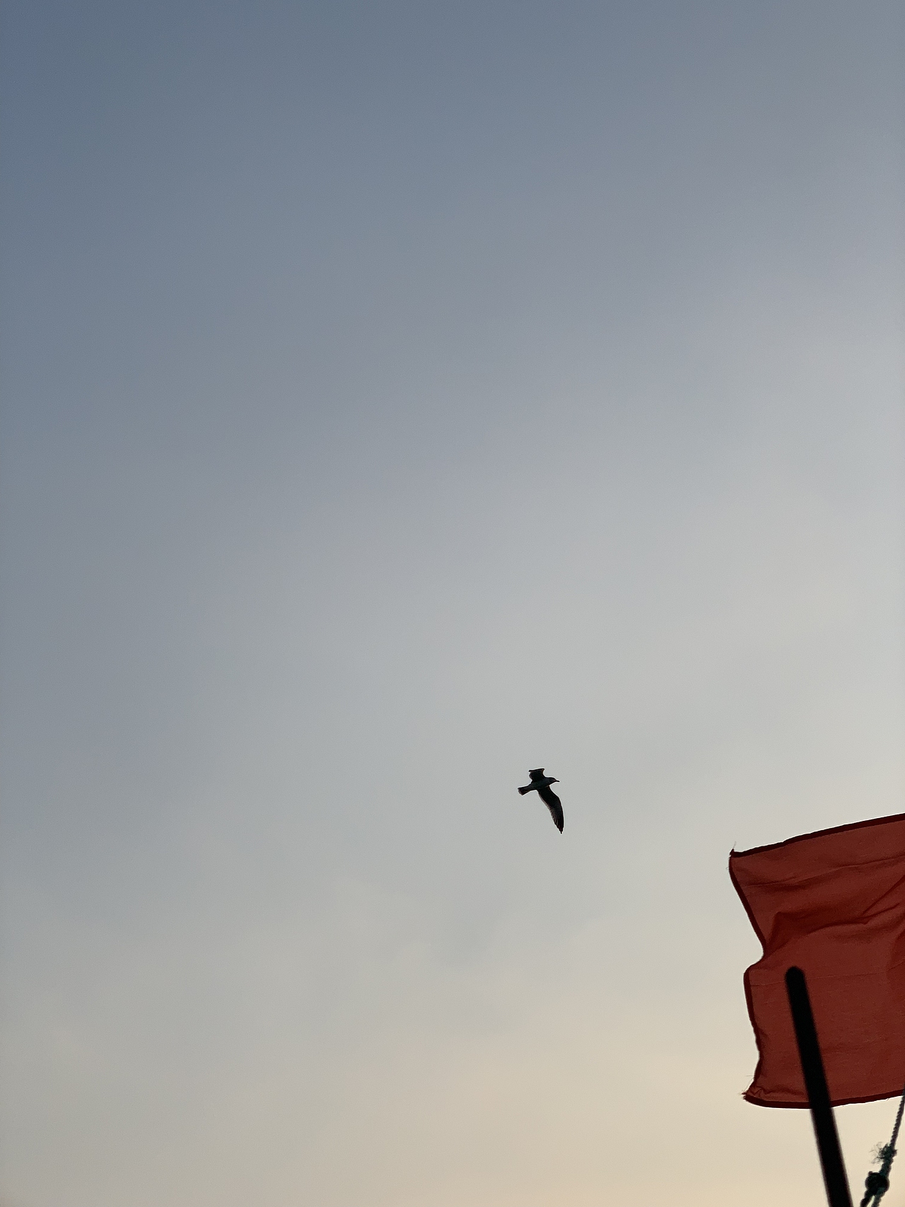 想把海潮声唱给你听