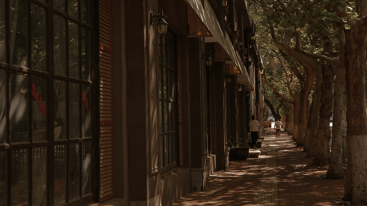 一树花（图ZMTczMzE5MzY0） - 风光摄影 - 站酷设计师瑷姑娘原创素材 - 站酷ZCOOL