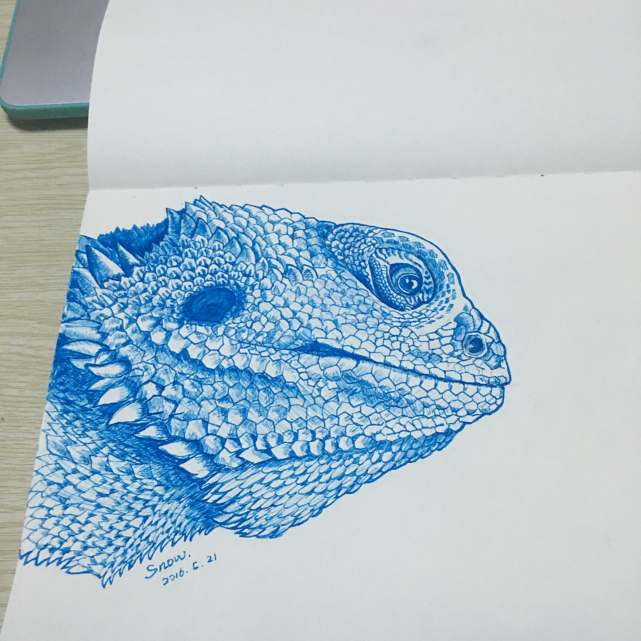 钢笔手绘——鬃狮蜥（图ZNjM0NTA4NDA=） - 艺术插画 - 站酷设计师斯诺设计原创素材 - 站酷ZCOOL