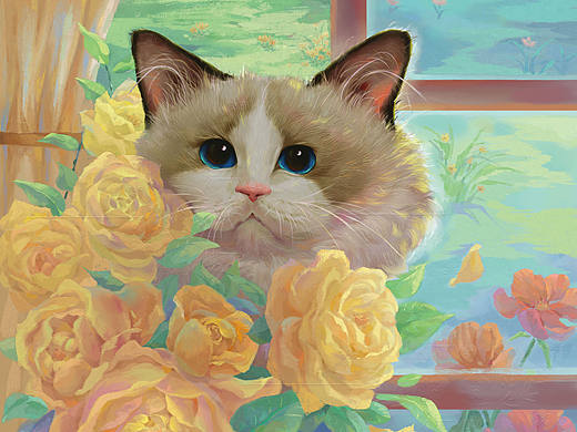 花猫