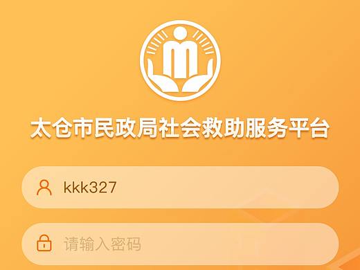 政务系统